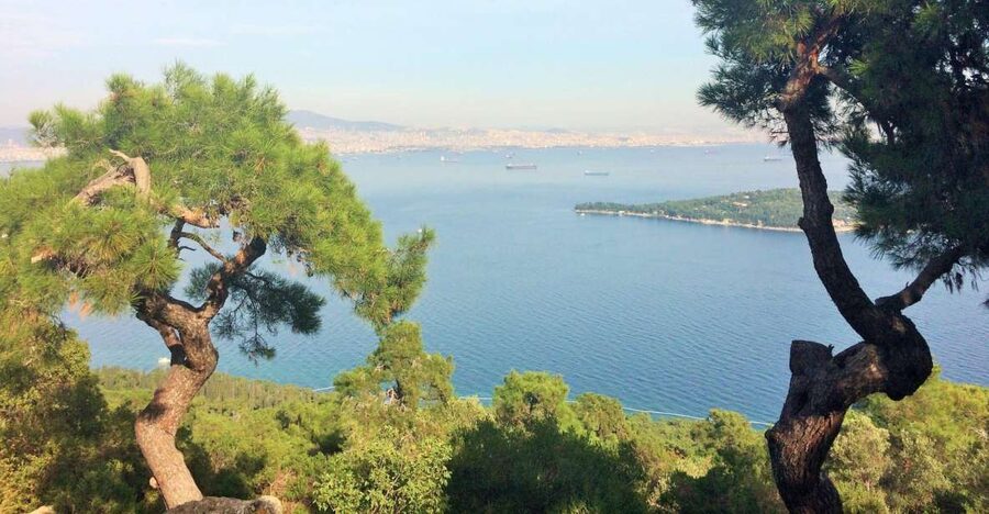 Istanbul: Day Trip to the Princes' Islands - Crossing the Marmara Sea