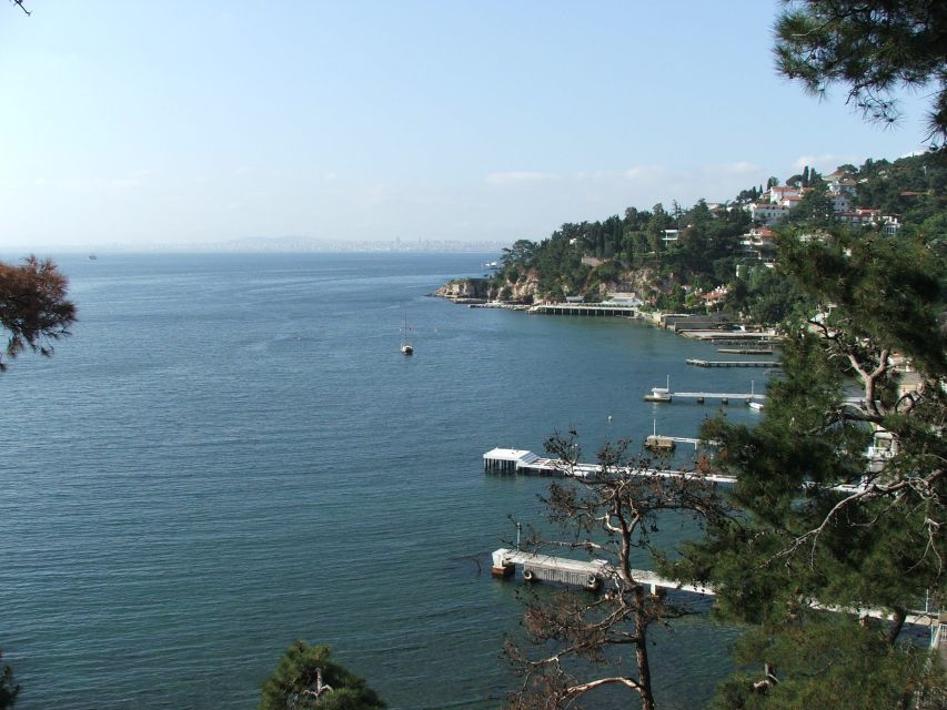 Istanbul: Day Trip to the Princes' Islands - What the hotel pickup really means