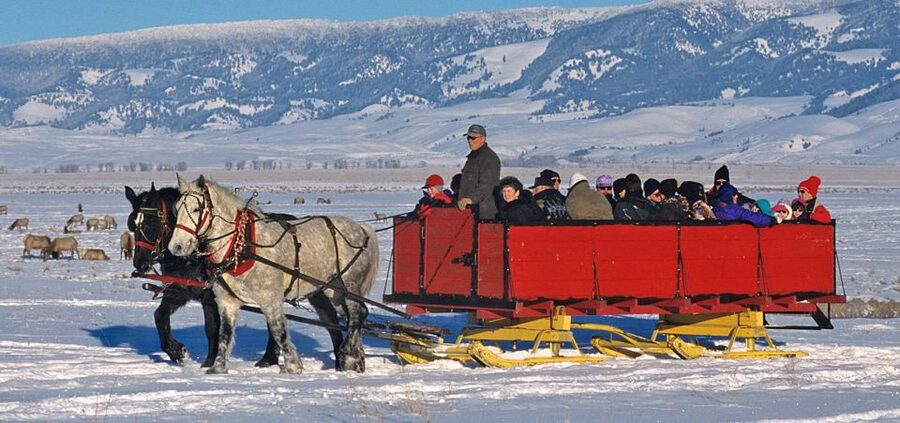 Jackson: Grand Teton and National Elk Refuge Winter Day Trip - Key points before you book