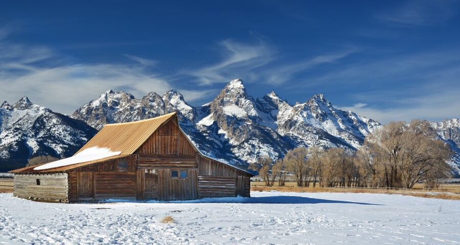 Jackson: Grand Teton and National Elk Refuge Winter Day Trip - The guide is part of the experience