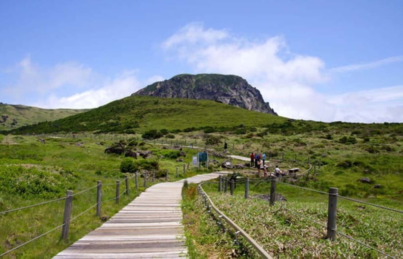 Jeju Highlight One day trip for Cruise Guests - A full island snapshot in seven hours