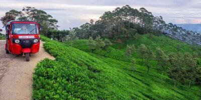 Kandy: Nuwara Eliya Day Trip