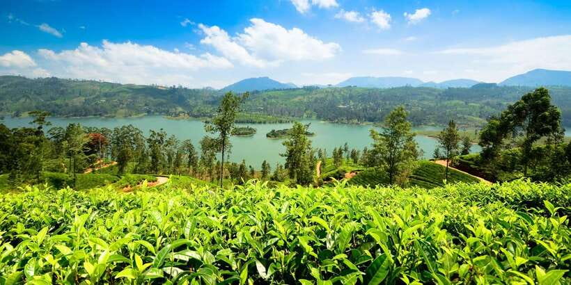 Kandy: Nuwara Eliya Day Trip - Arriving in Nuwara Eliya, Sri Lanka’s cool hill town