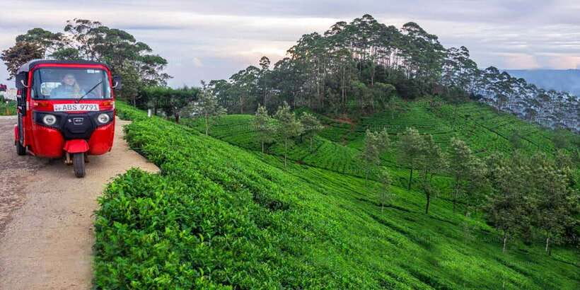 Kandy: Nuwara Eliya Day Trip - Asgiriya Stupa and the first local stop