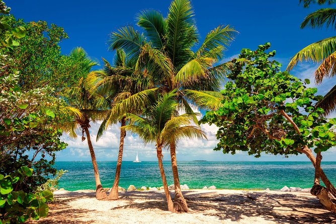 Key West Day Trip from Miami with Activities - Choosing an optional activity