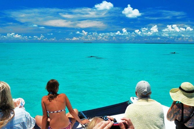 Key West Day Trip from Miami with Activities - The bus ride and Seven Mile Bridge