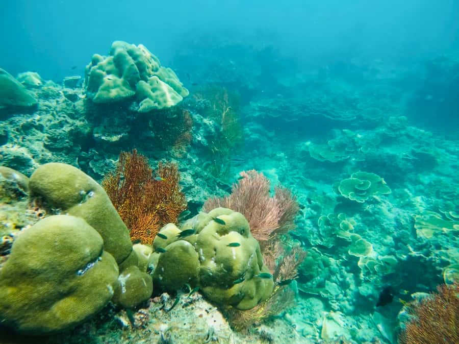 Khao Lak: Phi Phi & Bamboo Island Day Trip by Speedboat - Pileh Lagoon is the day’s strongest view