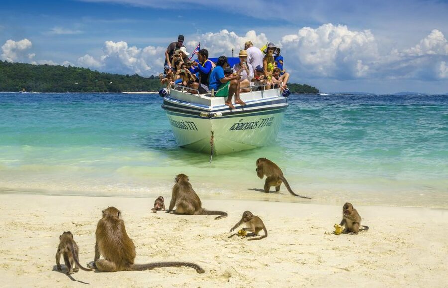 Khao Lak: Phi Phi Island, Maya Beach and Snorkeling Day Trip - Monkey Bay and the limits of wildlife viewing
