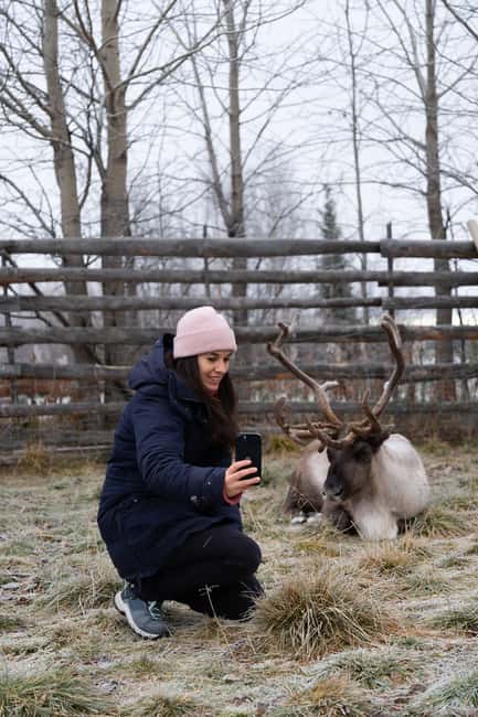 Kiruna: Icehotel and Sami Camp Day Trip - Why this short Kiruna outing works