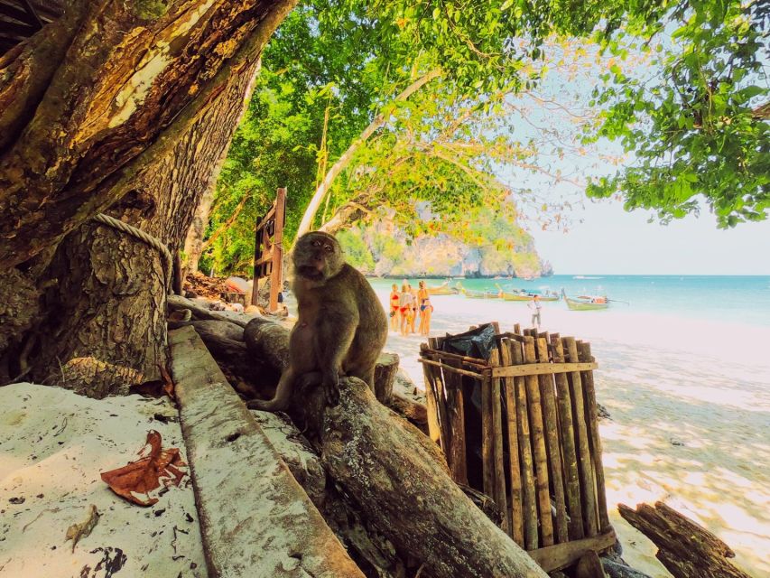 Ko Lanta: Phi Phi Day Trip by Speed Boat - Maya Bay: famous, beautiful, and tightly managed