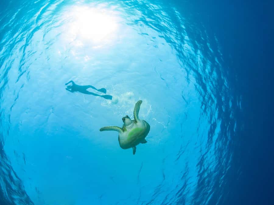 Ko Samui: Unique Ko Tao & Ko Nang Yuan Snorkeling Day Trip - Why this Koh Tao and Koh Nang Yuan trip works
