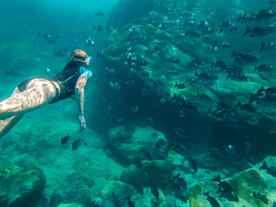 Ko Samui: Unique Ko Tao & Ko Nang Yuan Snorkeling Day Trip - An early pickup and a 90-minute Gulf crossing