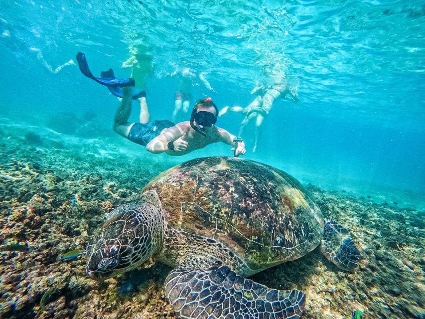 Ko Tao: Tao-Nangyuan Snorkeling Day Trip with Meals & Sunset - Is the $62 Price Fair?