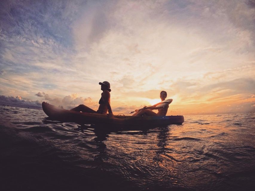 Ko Tao: Tao-Nangyuan Snorkeling Day Trip with Meals & Sunset - Shark Bay and the Best Chance for Big Sightings