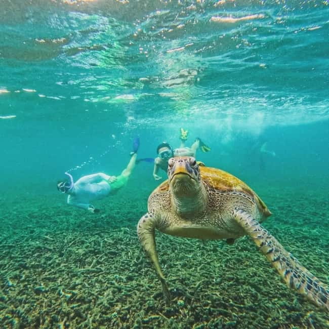 Ko Tao: Tao-Nangyuan Snorkeling Day Trip with Meals & Sunset - Banana Rock Sunset and the BBQ Finish