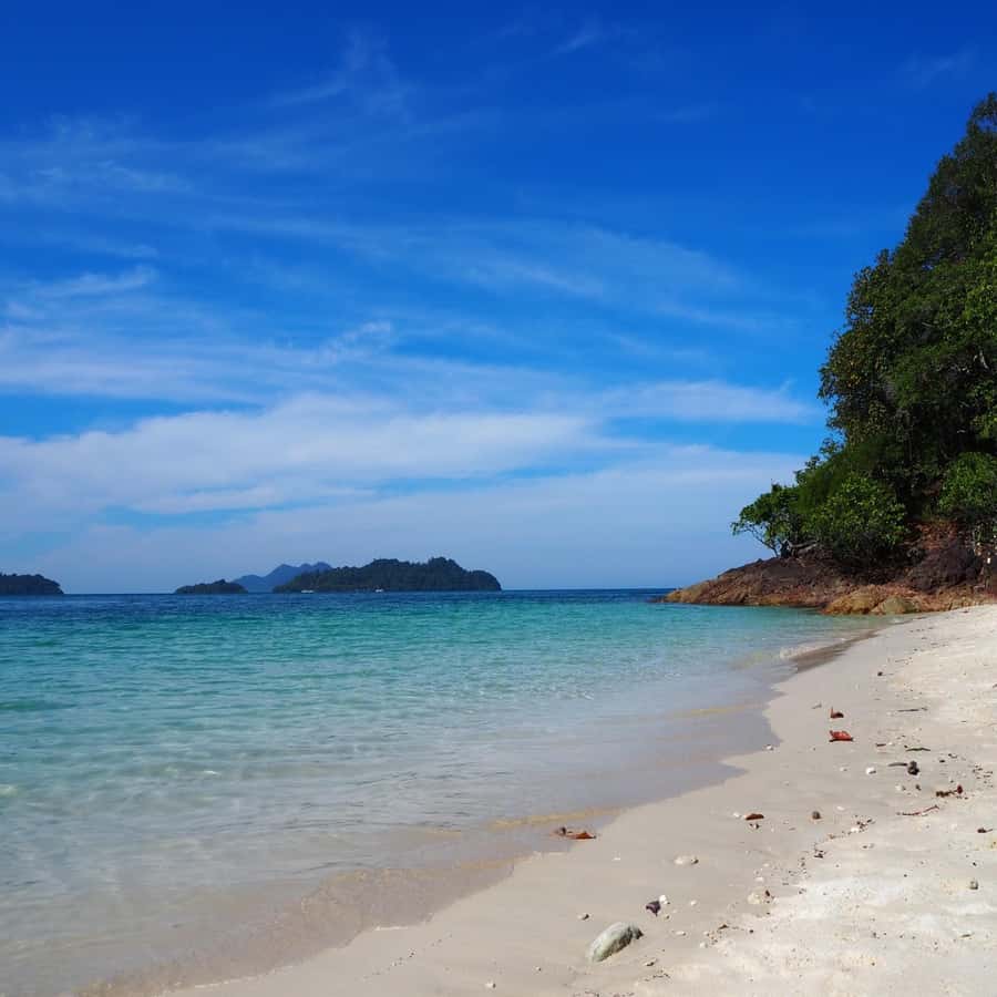 Koh Chang: Full-Day Private Day Trip - Salak Kok Village and the mangrove walkways