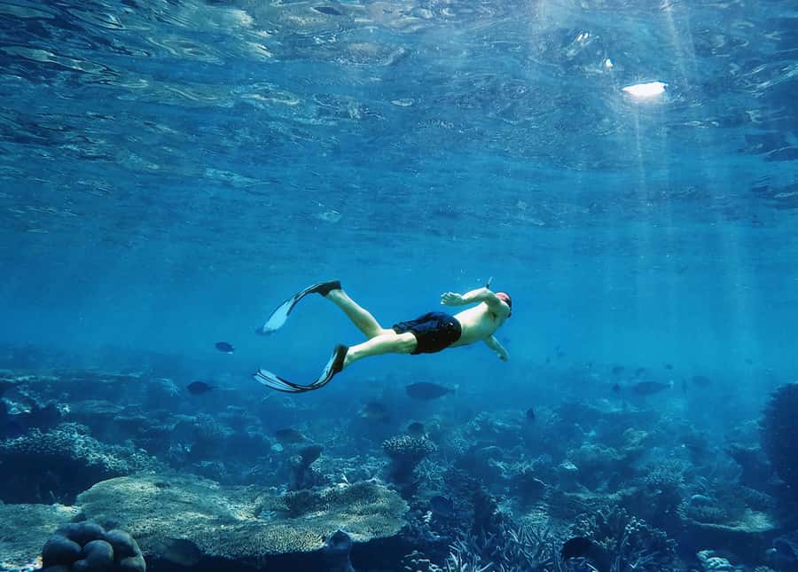 Koh Samui: Pink Dolphin, Pig Island, and Snorkeling Day Trip - Guides, pace, and comfort on the boat