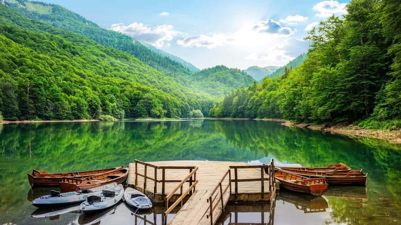 Kotor: Lake Skadar and Biograd Day Trip & Boat Ride - The long road to Biogradska Gora