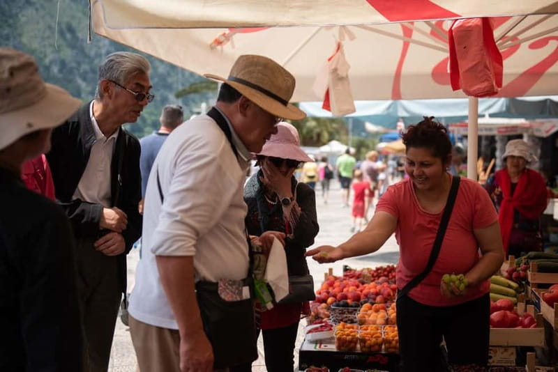 Kotor & Perast: Guided Day Trip From Dubrovnik - Who should book this day trip