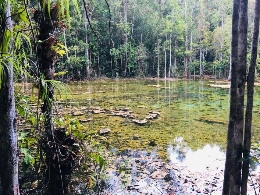 Krabi: Emerald Pool and Hot Springs Waterfall Half-Day Trip - Should you book it?