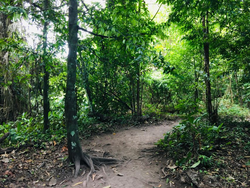 Krabi: Emerald Pool and Hot Springs Waterfall Half-Day Trip - Krabi Hot Springs and the waterfall soak