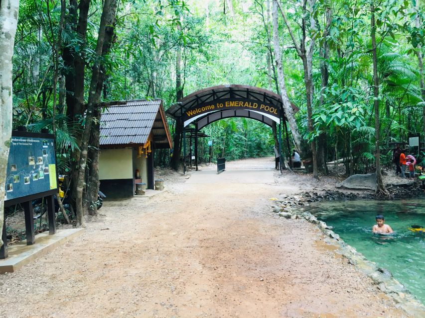 Krabi: Emerald Pool and Hot Springs Waterfall Half-Day Trip - Walking among old rainforest trees