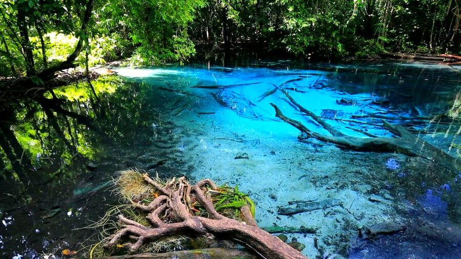 Krabi: Emerald Pool and Hot Springs Waterfall Half-Day Trip - Swimming at the Emerald Pool