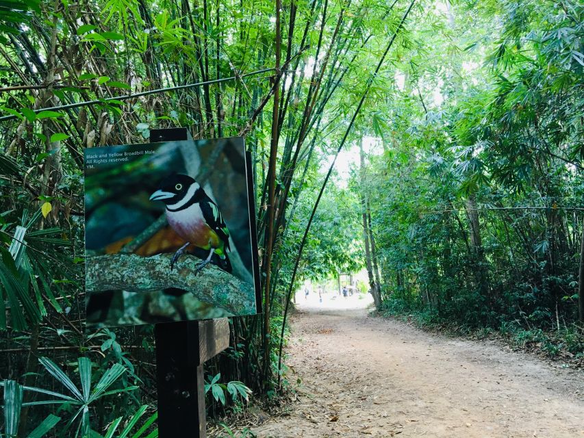 Krabi: Emerald Pool and Hot Springs Waterfall Half-Day Trip - The real cost: $43 plus park fees
