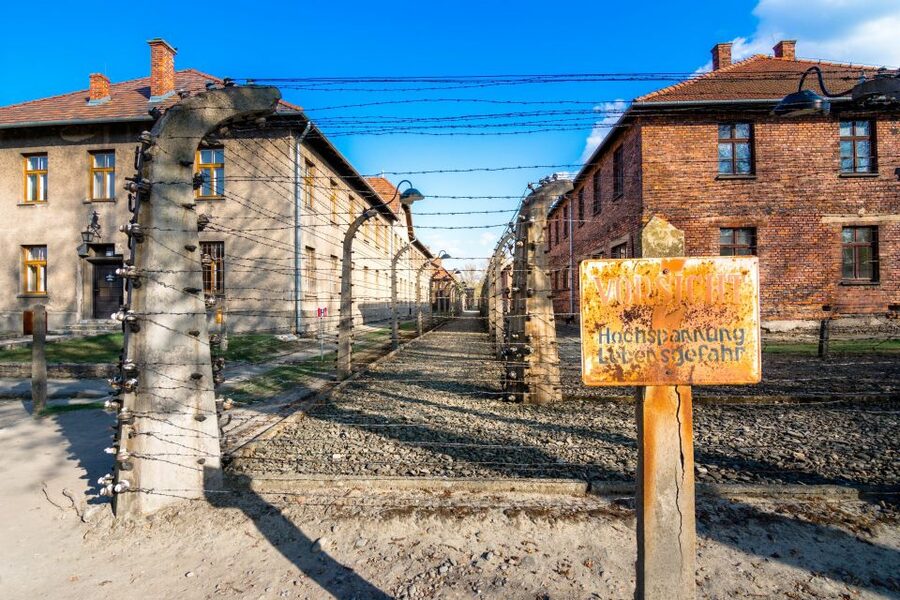 Krakow: Auschwitz-Birkenau and Wieliczka Salt Mine Day Trip - Who should book this day trip?