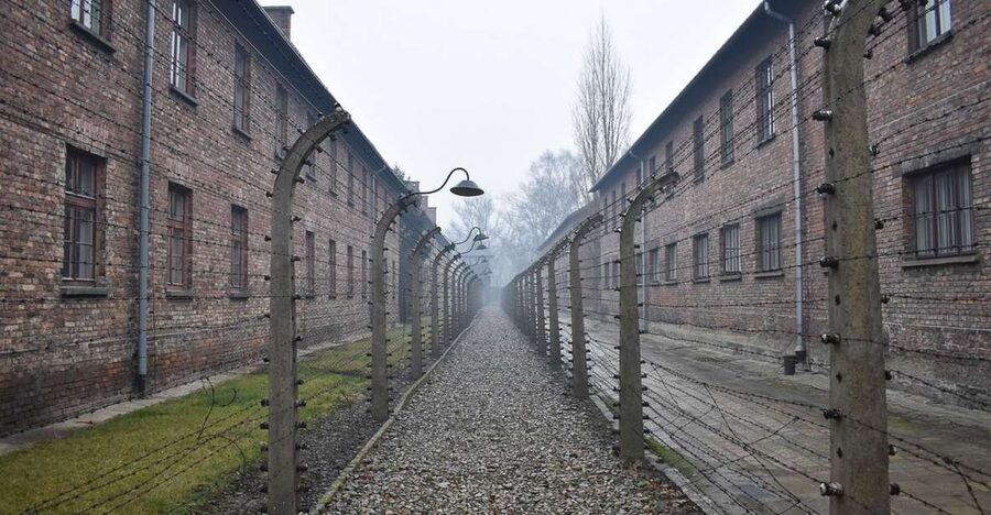 Krakow: Auschwitz-Birkenau Day Trip with Tour Leader - Who should book this day trip?