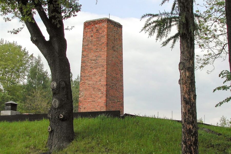 Krakow: Auschwitz-Birkenau Day Trip with Tour Leader - What the self-guided format really means