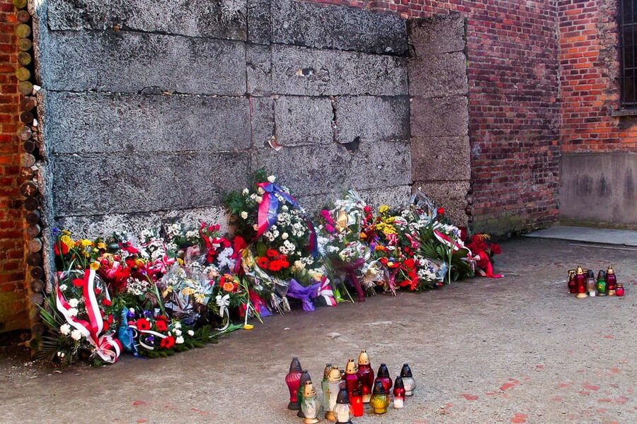Krakow: Auschwitz-Birkenau Day Trip with Tour Leader - Timing, queues, and the true length of the day