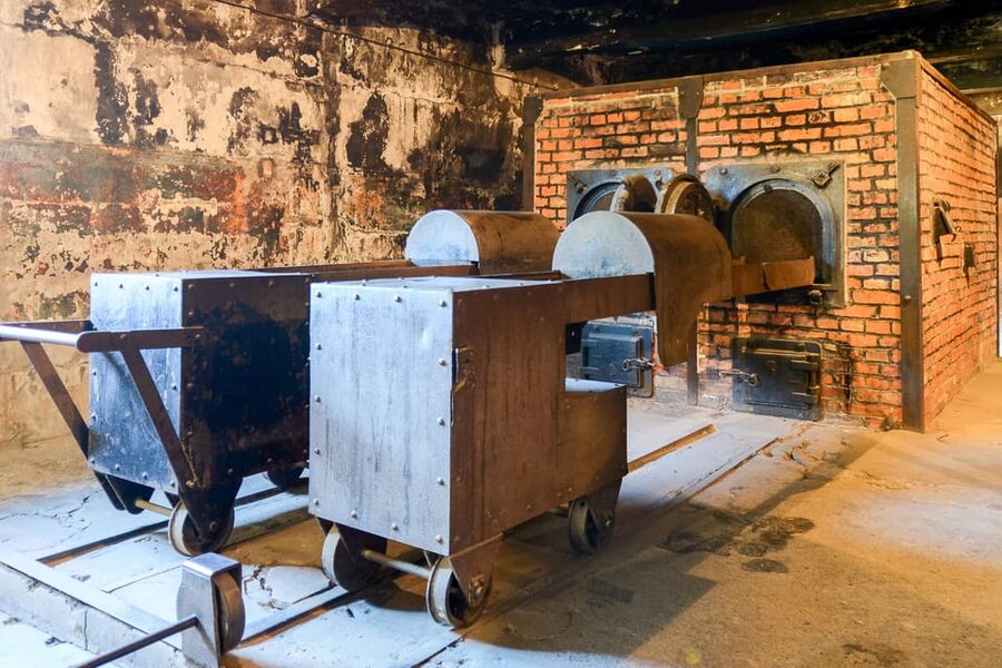 Krakow: Auschwitz-Birkenau Day Trip with Tour Leader - Practical preparation for a difficult visit