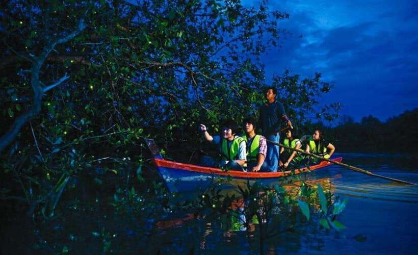 Kuala Lumpur: City Sights, Batu Caves and Fireflies Day Trip - Key points to know before booking