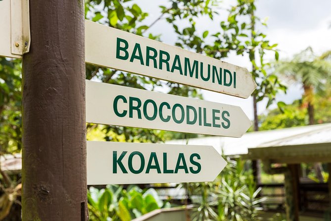 Kuranda Scenic Railway Day Trip from Cairns - Making the most of Kuranda village
