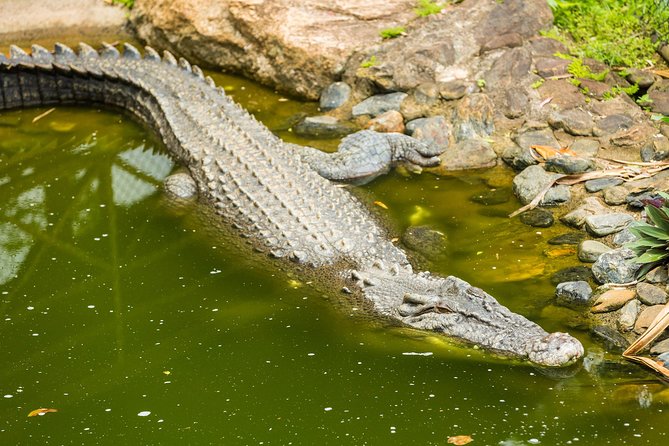 Kuranda Scenic Railway Day Trip from Cairns - Who will enjoy this Cairns day trip