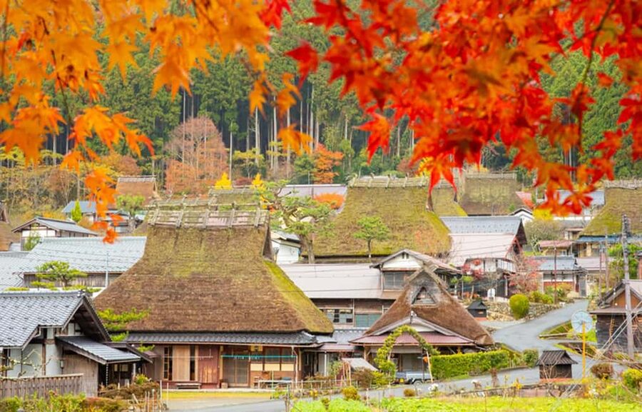 Kyoto: Miyama Village, Amanohashidate & Ine Bay Day Trip - Ine Bay and its unusual boat houses
