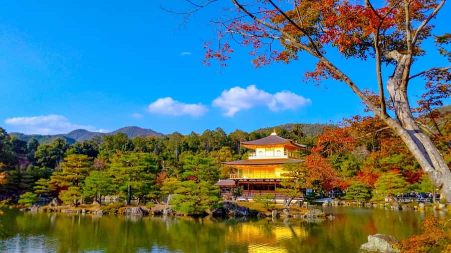 Kyoto: Private Customizable Day Trip by Car - Kinkaku-ji: a focused visit to the Golden Pavilion