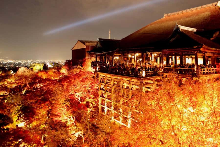 Kyoto: Private Customizable Day Trip by Car - The 8 a.m. to 6 p.m. clock matters