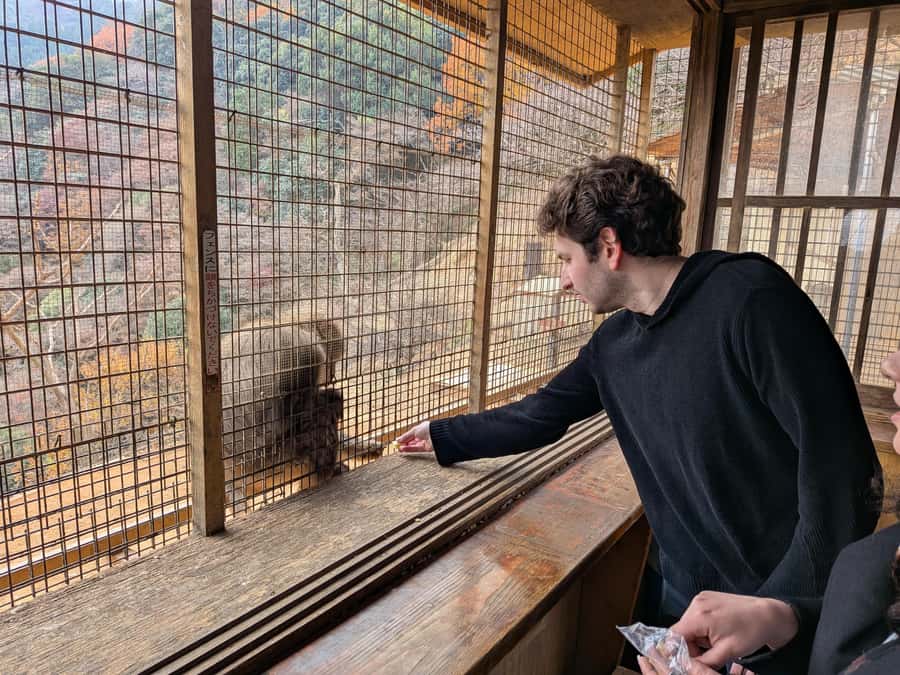 Kyoto: Private Customizable Day Trip by Car - Practical preparation for the day