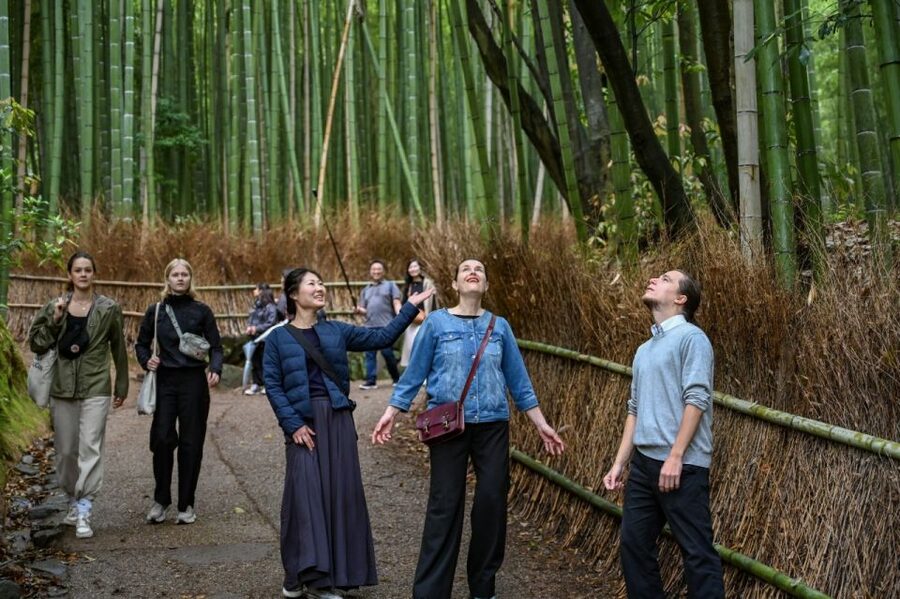 Kyoto to Arashiyama Day Trip - Private & Personalized - Why this private Arashiyama day works well