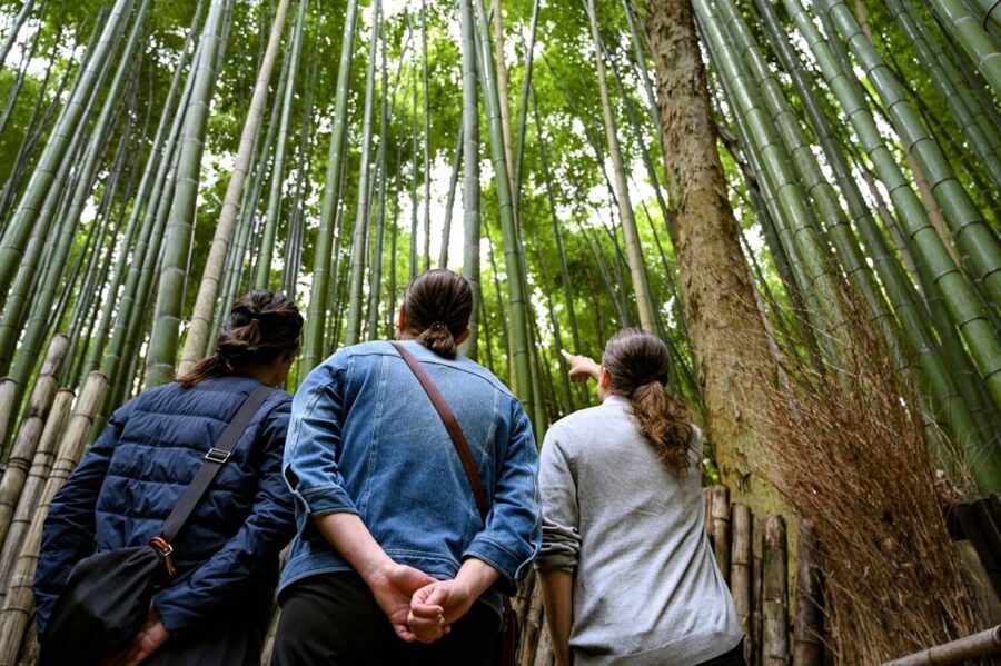 Kyoto to Arashiyama Day Trip - Private & Personalized - A boat option on the Hozu River