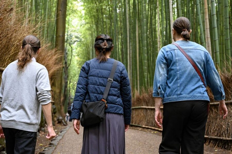 Kyoto to Arashiyama Day Trip - Private & Personalized - From Kyoto to the river and hills