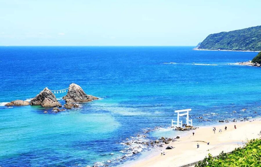 Kyushu Tour From Fukuoka: Itoshima Nature & Coastal Scenery - The Palm Tree Swing and Itoshima’s Photo Stops