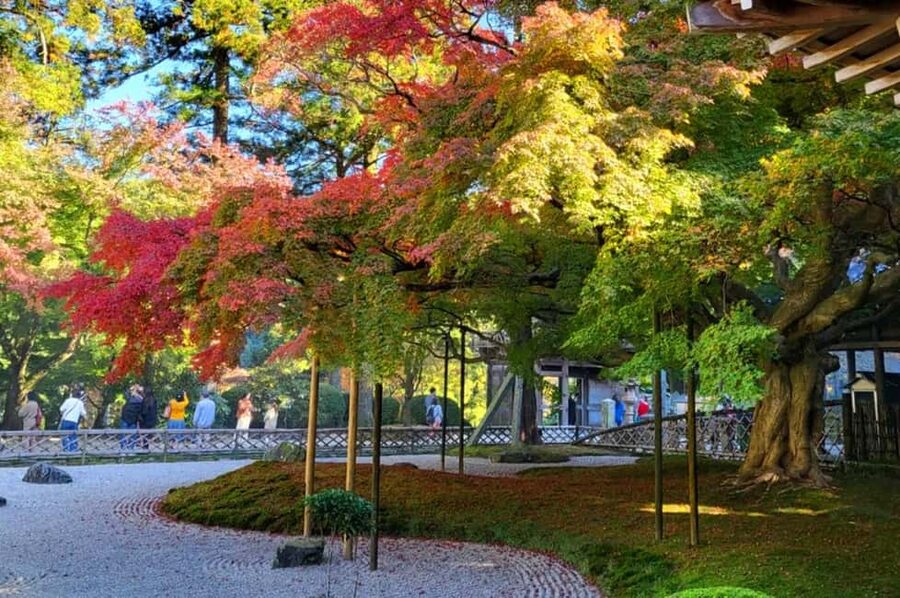 Kyushu Tour From Fukuoka: Itoshima Nature & Coastal Scenery - Keya no Oto Park and the Totoro Forest Trail