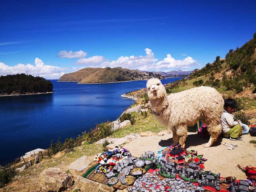 La Paz: Full Day Trip to Copacabana and Isla del Sol - Tiquina viewpoint and the ferry crossing