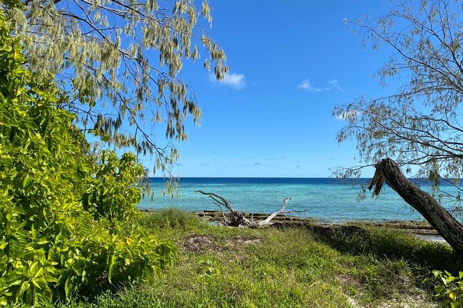 Lady Musgrave Day Trip from Bundaberg Including Snorkeling - The glass-bottom boat adds a second view