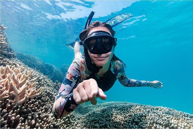 Lady Musgrave Day Trip from Bundaberg Including Snorkeling - Optional scuba activity at extra cost