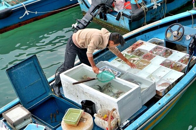 Lantau Island Day Trip - Big Buddha & Tai O - The transport tradeoff on a group tour
