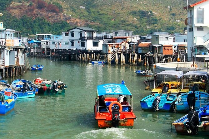 Lantau Island Day Trip - Big Buddha & Tai O - What the guides add to the day